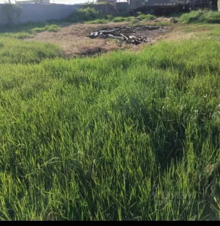 Участок в Саха (Якутия), Якутск пер. Иванова (6.6 сот.) - Фото 2