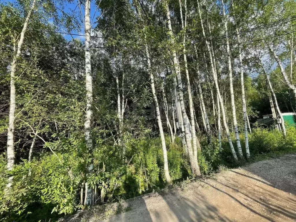 Участок в Москва д. Милюково, ул. Русская Деревня, 70 (5.0 сот.) - Фото 0