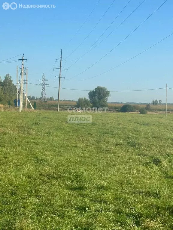 Участок в Волоколамский городской округ, деревня Шишково (10 м) - Фото 0