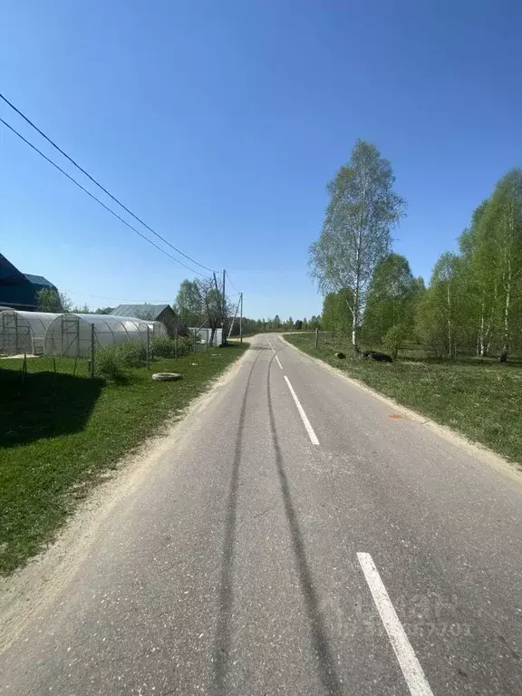 Участок в Нижегородская область, Бор муниципальный округ, с. Белкино ... - Фото 1