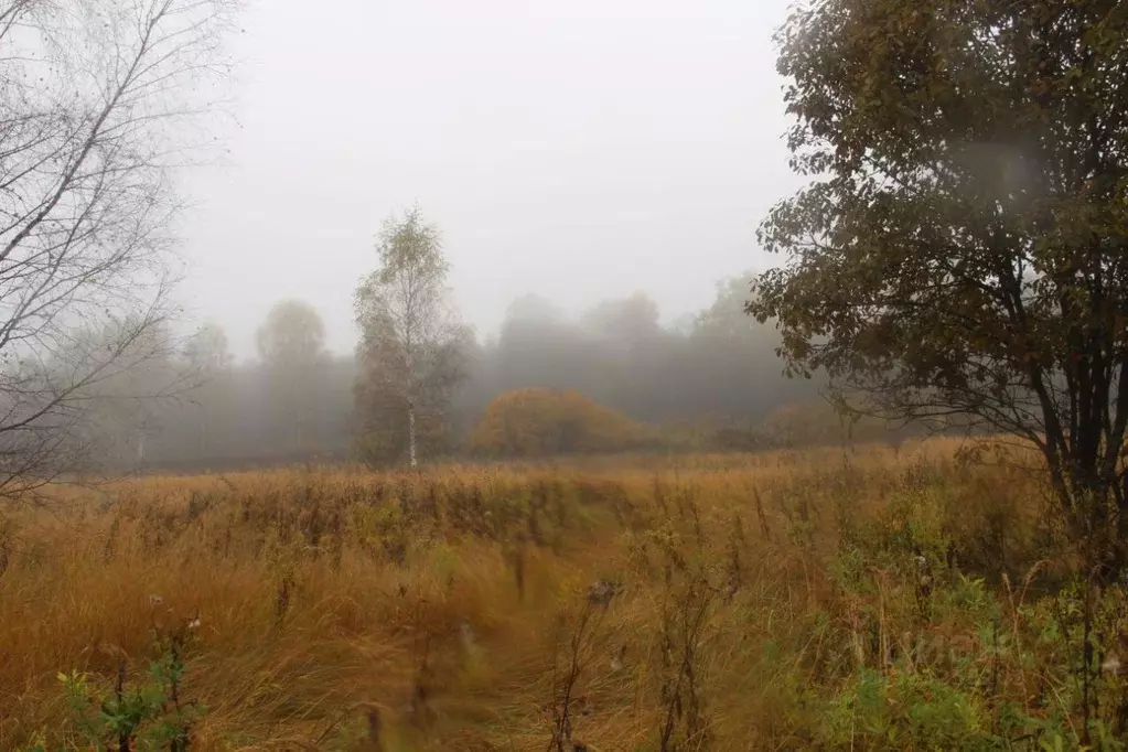 Участок в Московская область, Шаховская муниципальный округ, д. ... - Фото 1