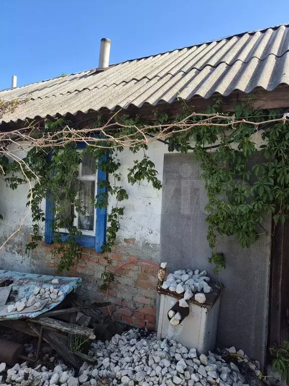 Дом 60 м на участке 6 сот. - Фото 1