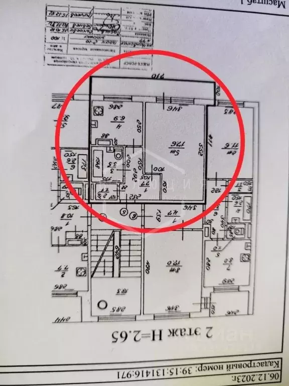 1-к кв. Калининградская область, Калининград Нарвская ул., 77 (37.0 м) - Фото 2