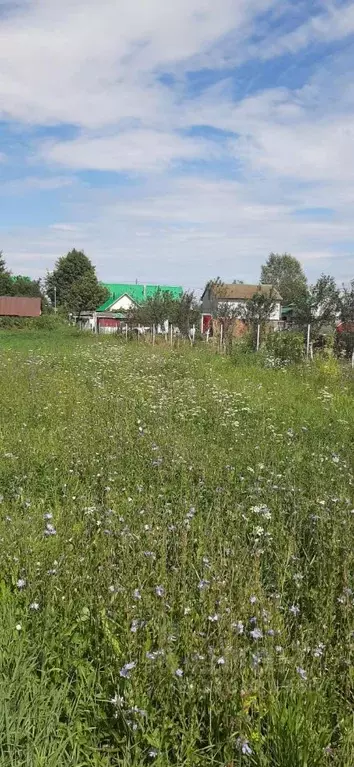 Участок в Башкортостан, Нуримановский район, Новокулевский сельсовет, ... - Фото 1