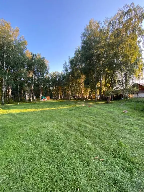 Дом в Алтай, Усть-Коксинский район, с. Усть-Кокса ул. Аргучинского, ... - Фото 1