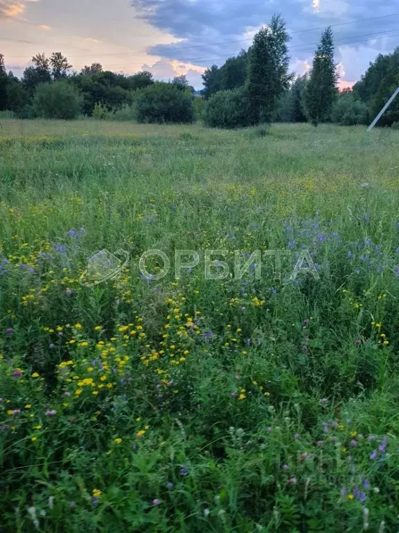 Участок в Тюменская область, Тюменский район, с. Каменка  (21.41 сот.) - Фото 1