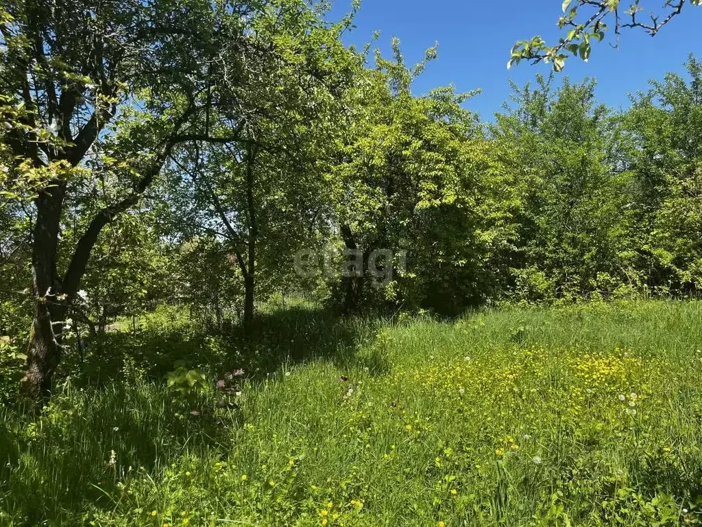 Участок в Калининградская область, Калининград 40 лет Победы СНТ, ул. ... - Фото 0