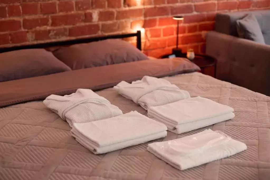 1-к кв. Татарстан, Казань ул. Муштари, 13а (27.0 м) - Фото 2