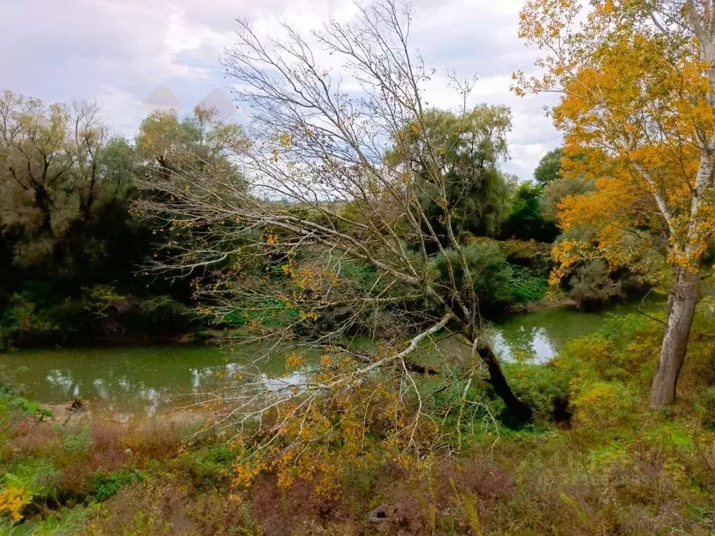 Участок в Краснодарский край, Северский район, Афипское городское ... - Фото 2