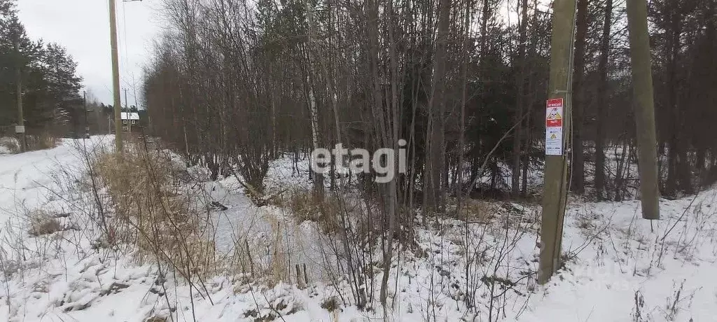 Участок в Ленинградская область, Приозерский район, Ларионовское ... - Фото 1