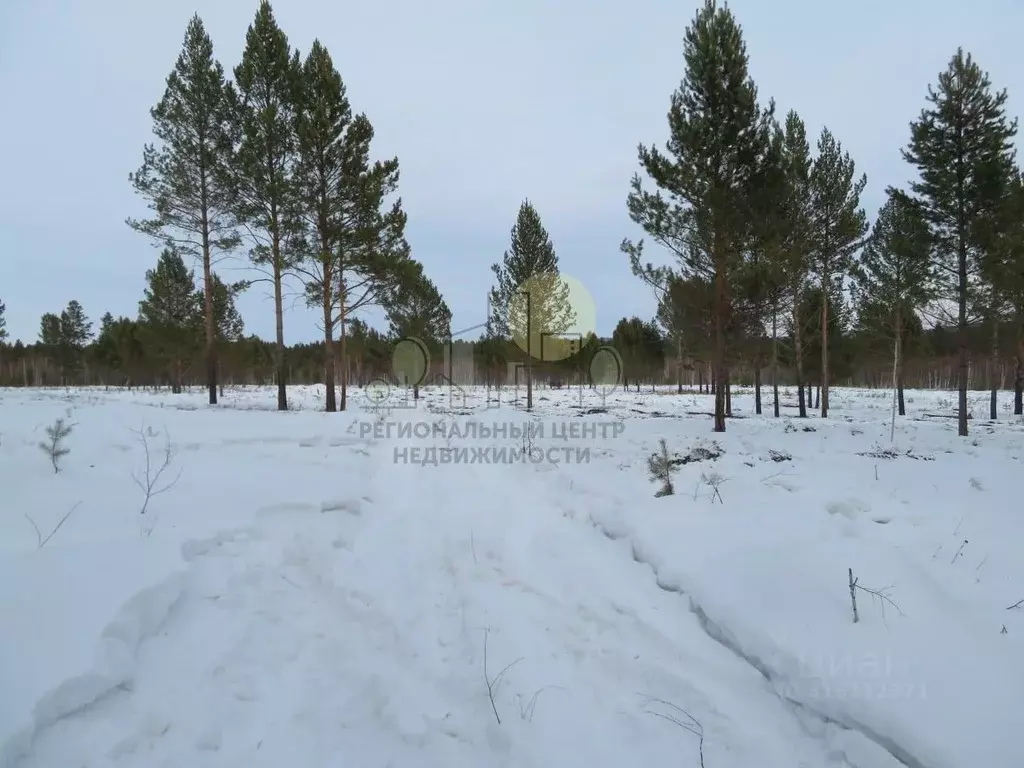 Участок в Иркутская область, Иркутский муниципальный округ, Михалево ... - Фото 1