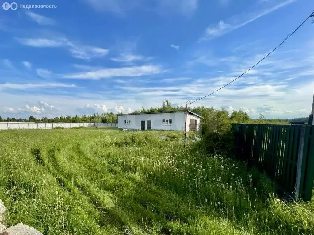 Участок в посёлок Кобралово, коттеджный посёлок Кобралово (23.8 м) - Фото 2