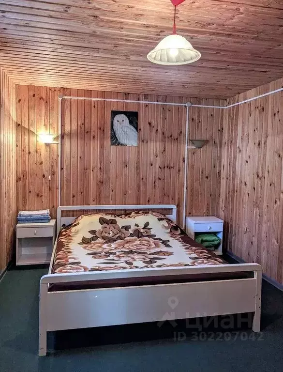 Дом в Псковская область, Печорский муниципальный округ, д. Литовиж  ... - Фото 2