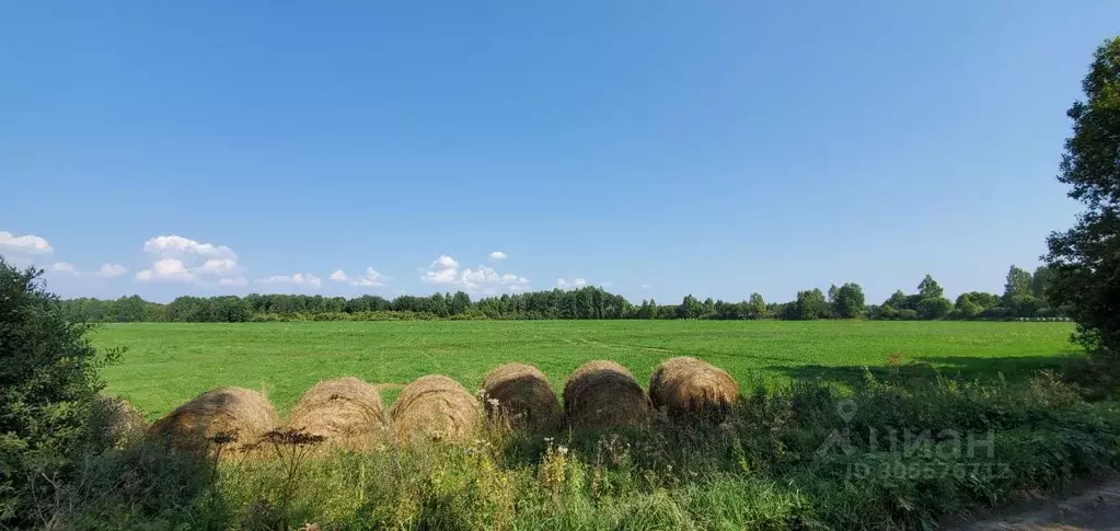 Участок в Смоленская область, Угранский муниципальный округ, д. ... - Фото 1