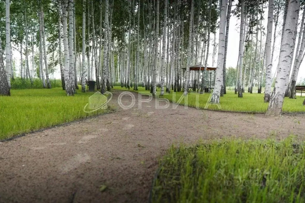 Участок в Тюменская область, Тюменский район, д. Решетникова ул. ... - Фото 1