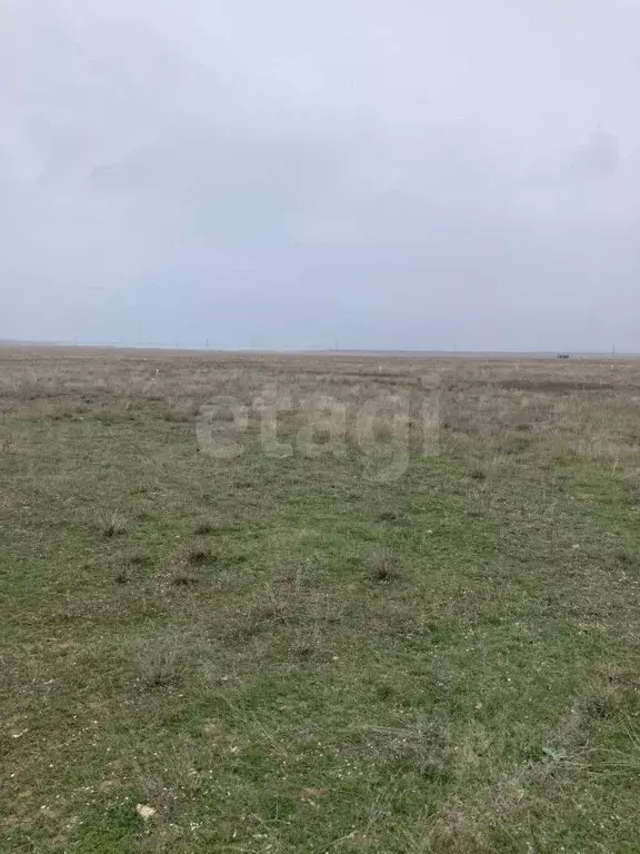 Участок в Крым, Сакский район, с. Уютное  (1000.0 сот.) - Фото 1