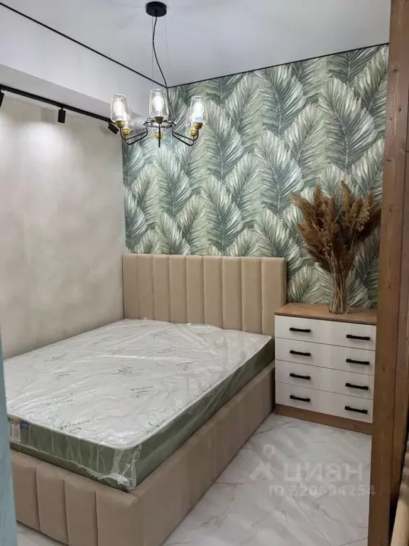 Студия Краснодарский край, Анапа ул. Мирная, 29к9 (29.0 м) - Фото 1