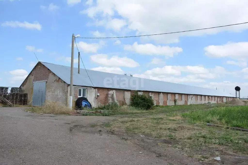 Помещение свободного назначения в Ростовская область, Зерноградский ... - Фото 0