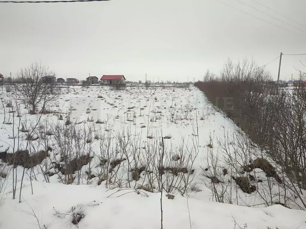 Участок в Новгородская область, Шимский район, Подгощское с/пос, д. ... - Фото 2