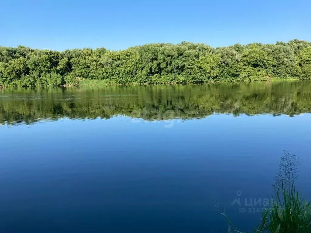 Участок в Липецкая область, Елецкий район, с. Голиково  (105.7 сот.) - Фото 1