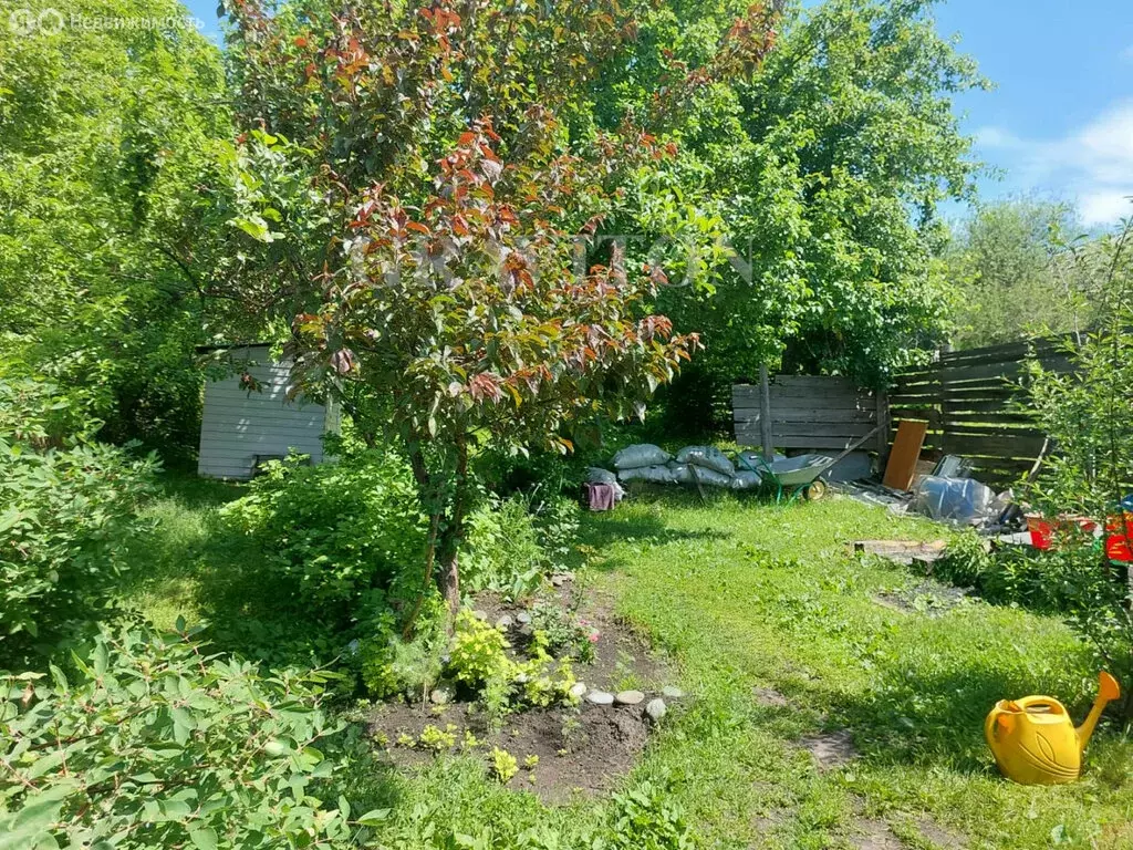 Дом в Горно-Алтайск, улица Трофимова (34.5 м) - Фото 1