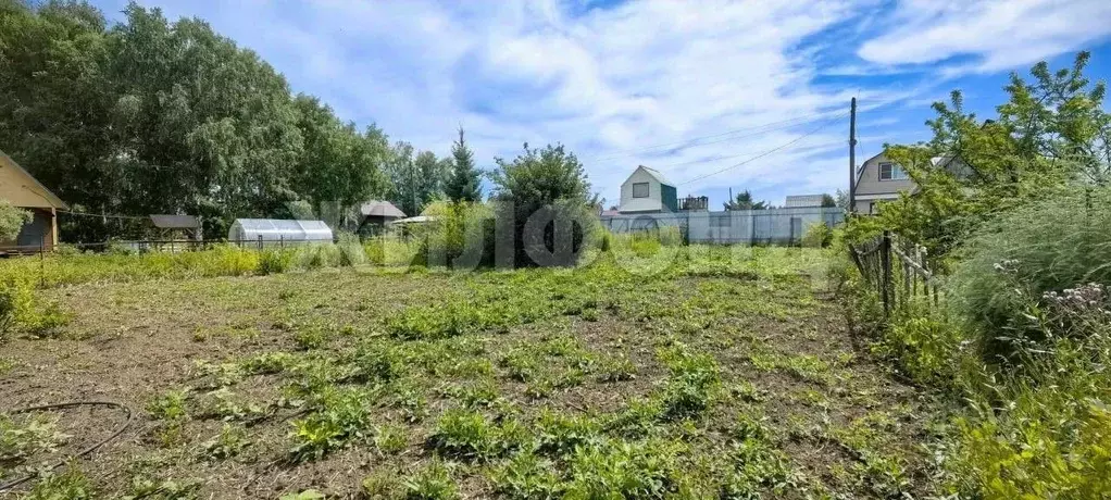 Участок в Новосибирская область, Бердск Вега-3 СНТ,  (5.1 сот.) - Фото 1