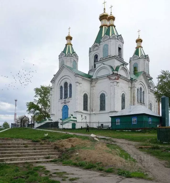 Участок в Тамбовская область, с. Пичаево ул. Красная, 33/24 (20.0 ... - Фото 0