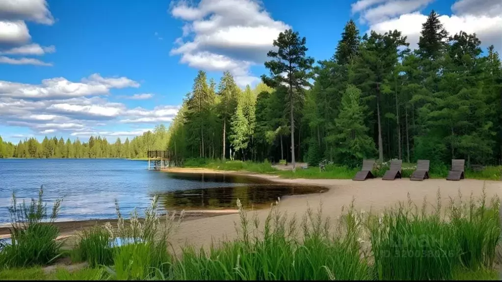 Участок в Ленинградская область, Выборгский район, Рощинское городское ... - Фото 0