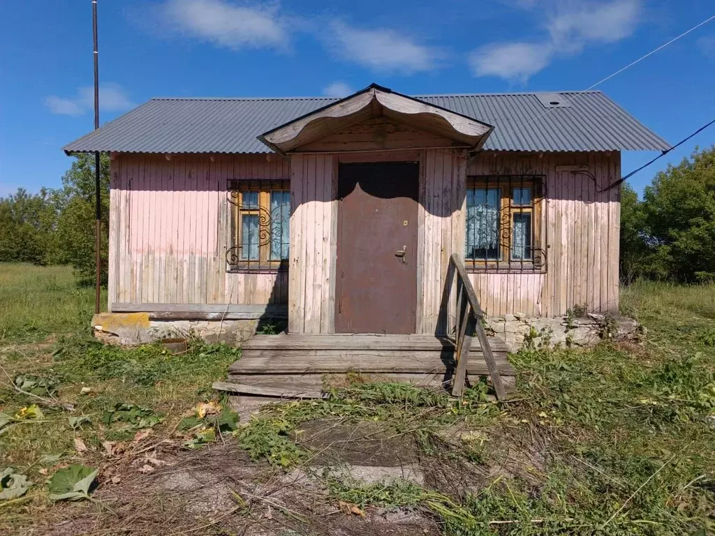 Дом в Рязанская область, Шацкий район, Агишевское с/пос, с. Карнаухово ... - Фото 0