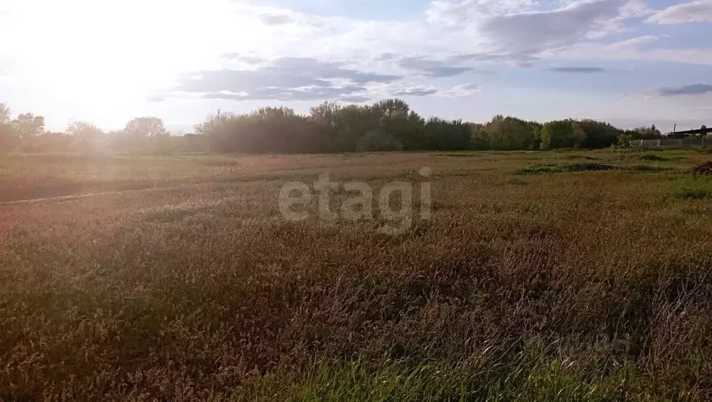 Участок в Саратовская область, Энгельсский район, Новопушкинское ... - Фото 1