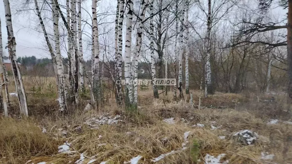 Участок в Московская область, Ногинск Богородский городской округ, ул. ... - Фото 1