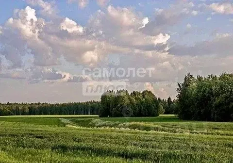 Участок в Иркутская область, Иркутский муниципальный округ, д. Ширяева ... - Фото 0