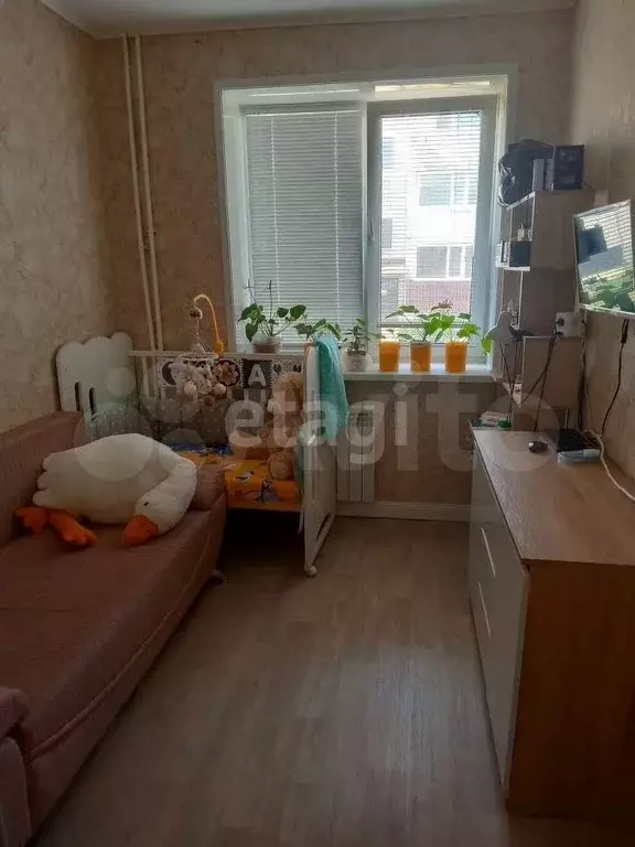 1-к. квартира, 24,6 м, 2/3 эт. - Фото 1
