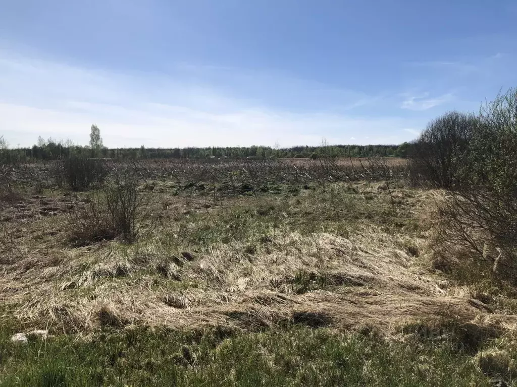 Участок в Псковская область, Псков ул. Ивана Перова (15.0 сот.) - Фото 1
