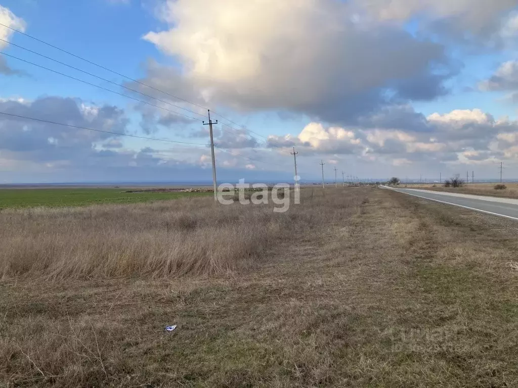 Участок в Крым, Черноморский район, с. Новосельское, Мечта-1 СНТ 498 ... - Фото 0