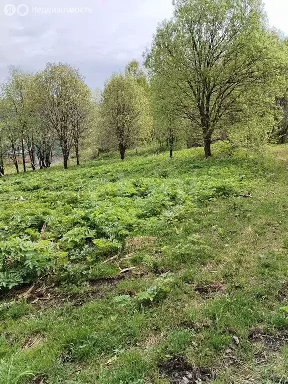 Участок в Горно-Алтайск, Снежная улица (9.51 м) - Фото 1