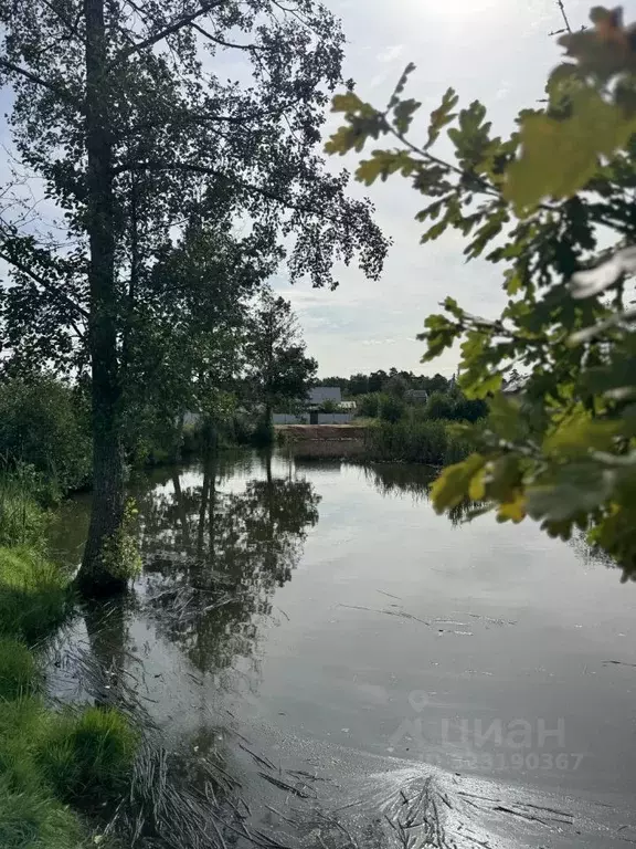 Участок в Калининградская область, Светлогорск Радуга СНТ, 7-я линия ... - Фото 0