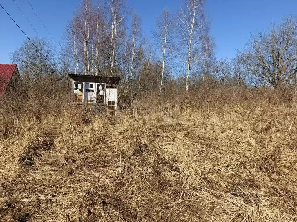 Участок в Смоленская область, Смоленск Озерный СНТ, проезд 1-й ... - Фото 1