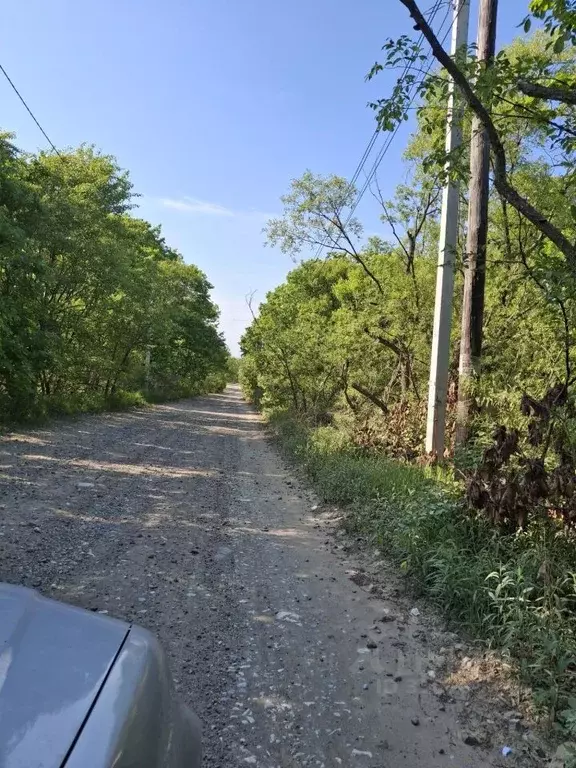 Участок в Приморский край, Уссурийск Родник СДТ,  (5.19 сот.) - Фото 0