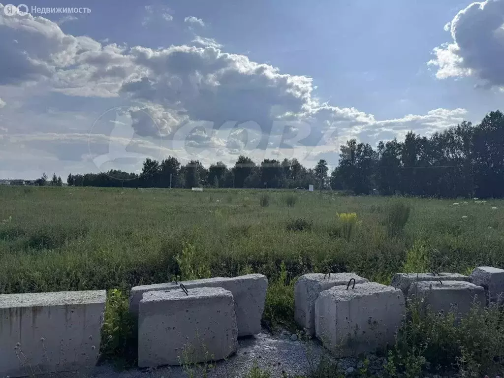 Участок в Кулаковское муниципальное образование (35 м) - Фото 0