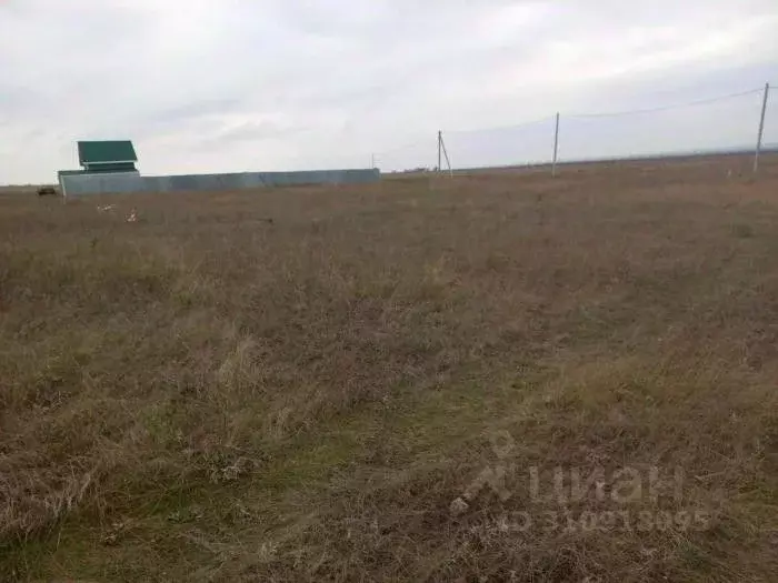 Участок в Крым, Черноморский район, с. Межводное ул. Акмечетская (10.0 ... - Фото 1