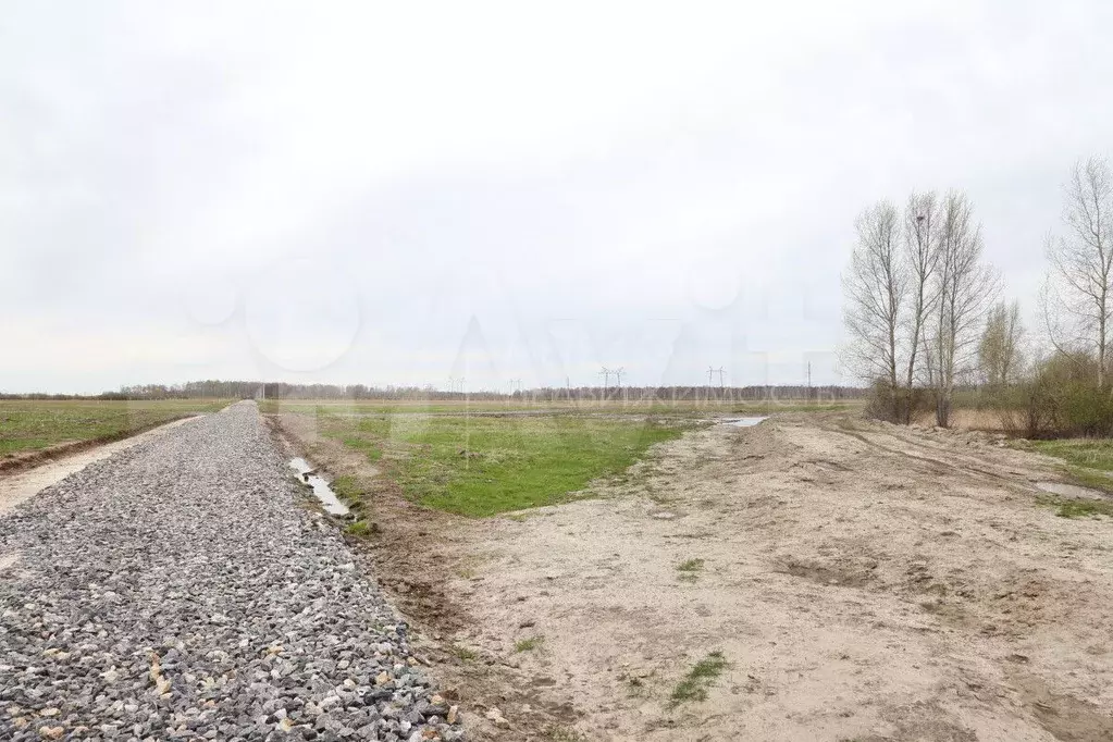 Участок 5,3 сот. (ИЖС) - Фото 1