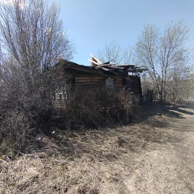 Участок в Пермский край, д. Козыбаево ул. Центральная, 32 (16.0 сот.) - Фото 1