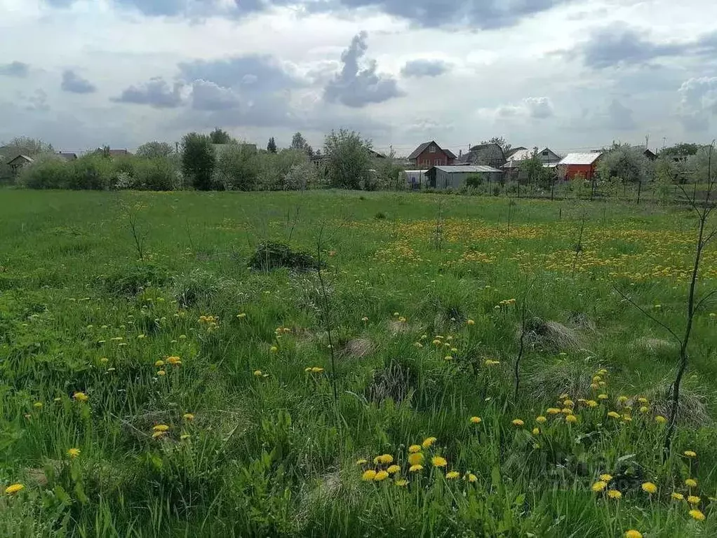 Участок в Рязанская область, Рыбновский муниципальный округ, с. ... - Фото 1