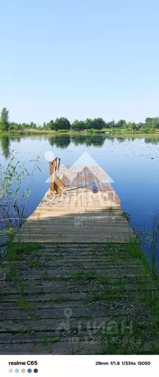 Участок в Вологодская область, Белозерский муниципальный округ, с. ... - Фото 1