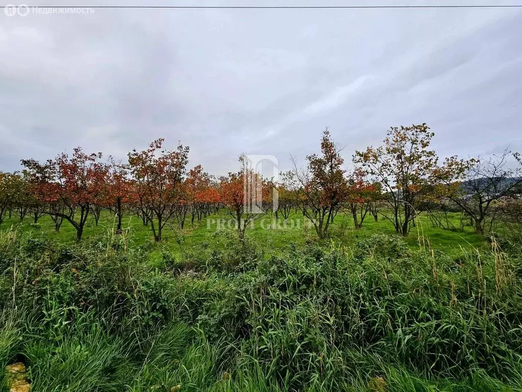 Участок в Республика Дагестан, Дербент (97.41 м) - Фото 2