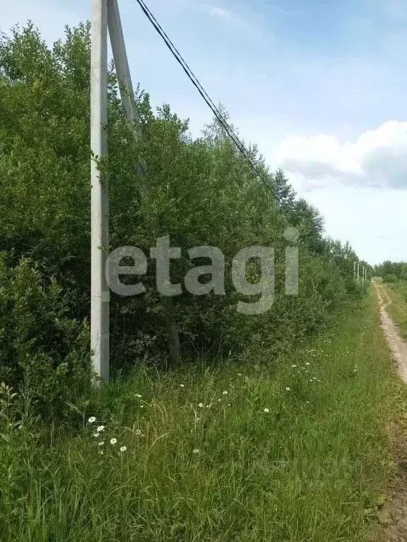 Участок в Костромская область, Красное-на-Волге пгт ул. Дальняя, 5 ... - Фото 0