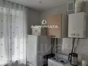 1-к кв. Санкт-Петербург, Санкт-Петербург, Пушкин Ахматовская ул., 19 ... - Фото 1