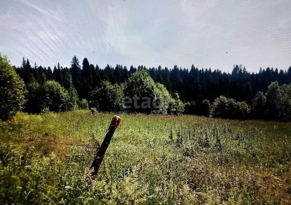 Участок в Пермский край, Добрянка пос. Лесников,  (12.0 сот.) - Фото 2