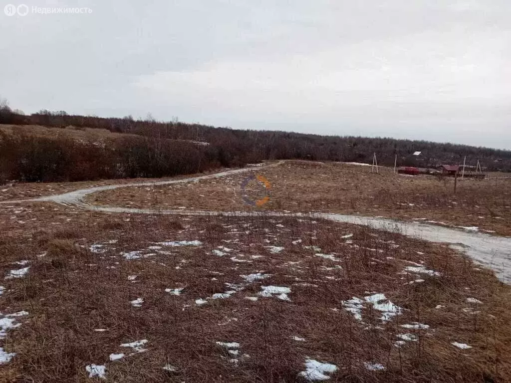 Участок в Новгородская область, Чудово (12 м) - Фото 0